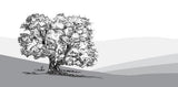 Gush Etzion Judean Hills Cabernet Franc The Lone Oak Tree Dry Red Wine