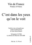 Anders Frederik Steen C'est Dans Les Yeux Qu'on Le Voit