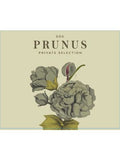 Gota Wines Prunus Private Selection Dão Branco