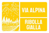 Via Alpina Colli Orientali del Friuli Ribolla Gialla