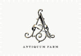 Antiquum Farm Pinot Noir Darlene Willamette Valley