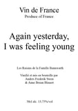 Anders Frederik Steen Again Yesterday, I Was Feeling Young
