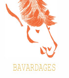 Domaine des Roches Neuves Saumur-Champigny Cuvée Bavardages