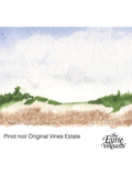 Eyrie Vineyards Pinot Noir Original Vines Dundee Hills