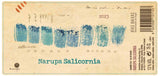 Narupa Rias Baixas Narupa Salicornia
