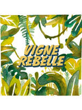 Domaine De Stricou Vigne Rebelle