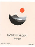 Domaine Des Monts d'Argent Morgon