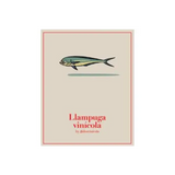 4 Kilos Mallorca Llampuga Vinicola