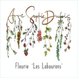 Dubois Fleurie Les Labourons