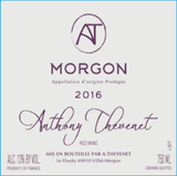 Anthony Thevenet Morgon
