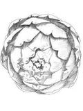Broc Cellars Amore Bianco Fox Hill Vineyard Mendocino County