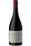 Zuccardi Cabernet Franc Poligonos San Pablo Valle de Uco