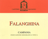 Antonio Caggiano Falanghina