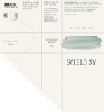 Scielo Ny Sauvignon Blanc North Fork of Long Island