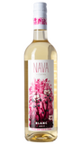 Nava Wine Blanc Ontario
