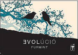 Evolúció Dry Furmint