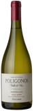 Zuccardi Poligonos Tupungato Semillón Valle de Uco