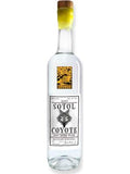 Casa Dasylirion Sotol Coyote Durango