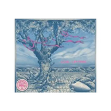 A Thousand Gods Love Letters Rose Marlborough