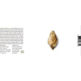 Adega Pedralonga Albarino