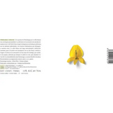 Adega Pedralonga Rias Baixas Caino Carolina