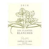 Alma Mater White Plantes Blanches