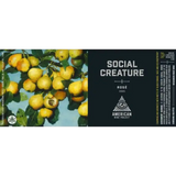 American Wine Project Social Creature Rosa