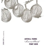 Anthill Farms Pinot Noir Sonoma Coast 2020
