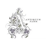 Antiquum Farm Alium Pinot Gris