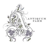 Antiquum Farm Alium Pinot Gris