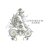 Antiquum Farm Daisy Pinot Gris