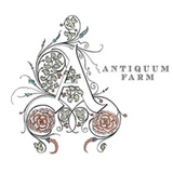 Antiquum Farm Pinot Gris Aurosa Willamette Valley