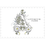 Antiquum Farm Pinot Gris Daisy Willamette Valley