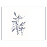 Arnot-Roberts Cabernet Sauvignon Fellom Ranch Santa Cruz Mountains