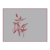 Arnot-Roberts Gamay Noir