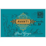 Avanti Delle Venezie Pinot Grigio