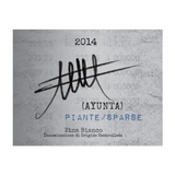 Ayunta Etna Bianco Piante/Sparse