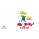Azienda Agricola Trevisana Delle Venezie Pinot Grigio Bio