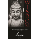 B Wise Wisdom Red Blend