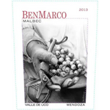 BenMarco Malbec Valle de Uco