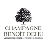 Benoit Dehu Champagne Brut Nature Cuvee De La Rue Des Noyers (Lot V16)