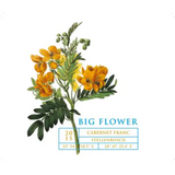 Big Flower Cabernet Franc Stellenbosch