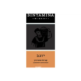Binyamina Yogev Cabernet Sauvignon