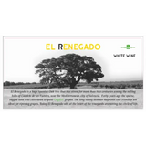 Bodegas Nodus Valencia El Renegado