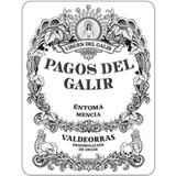 Bodegas Virgen de Galir Pagos del Galir Mencia