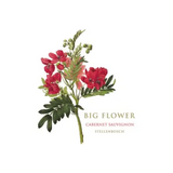 Botanica Wines Cabernet Sauvignon Big Flower Stellenbosch