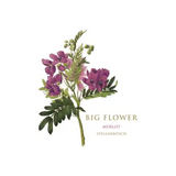 Botanica Wines Merlot Big Flower Stellenbosch