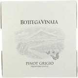Bottega Vinaia Pinot Grigio Trentino 2021