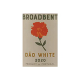 Broadbent Dao White