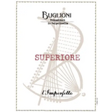 Buglioni Valpolicella Superiore Classico l’Imperfetto 2019